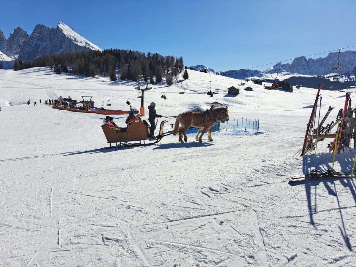 Residence Casa Metz Santa Cristina Val Gardena Экстерьер фото