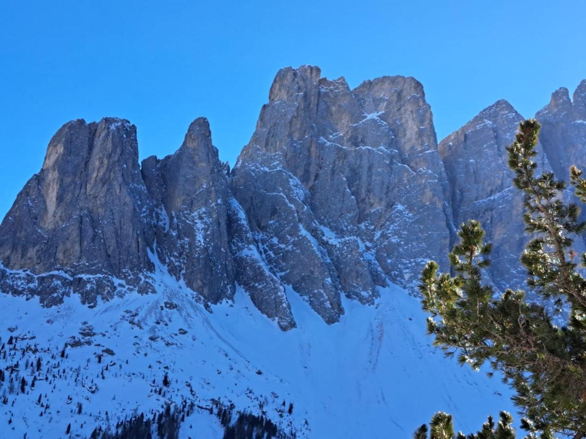 Residence Casa Metz Santa Cristina Val Gardena Экстерьер фото