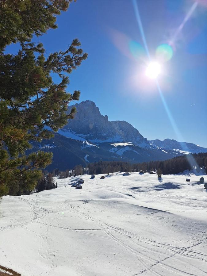 Residence Casa Metz Santa Cristina Val Gardena Экстерьер фото